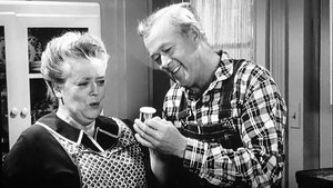 The Andy Griffith Show 27. epizoda