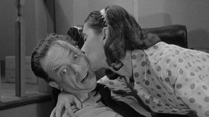 The Andy Griffith Show 22. epizoda