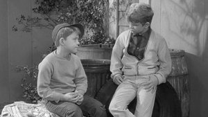 The Andy Griffith Show 21. epizoda