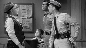 The Andy Griffith Show 14. epizoda