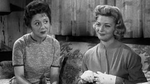 The Andy Griffith Show 8. epizoda