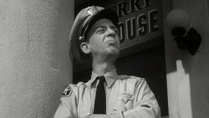 The Andy Griffith Show 20. epizoda