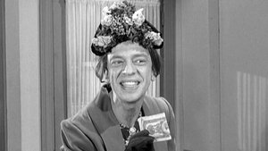 The Andy Griffith Show 28. epizoda