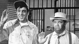 The Andy Griffith Show 17. epizoda