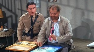 The Andy Griffith Show 16. epizoda