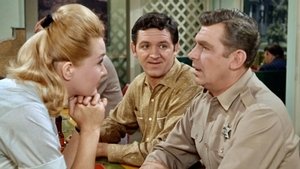 The Andy Griffith Show 24. epizoda