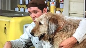 The Andy Griffith Show 12. epizoda