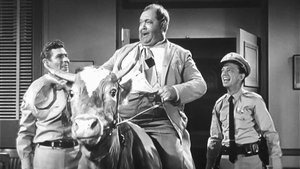 The Andy Griffith Show 18. epizoda