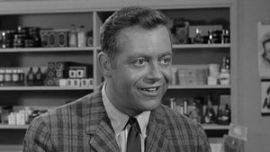 The Andy Griffith Show 14. epizoda
