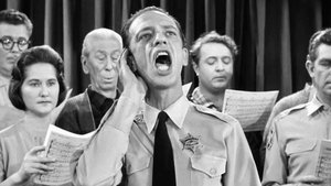The Andy Griffith Show 20. epizoda
