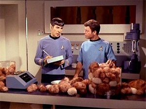 Star Trek Trable s Tribbly