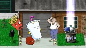 Aqua Teen Hunger Force 8. epizoda