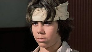 Little House on the Prairie 20. epizoda