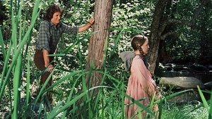 Little House on the Prairie 3. epizoda