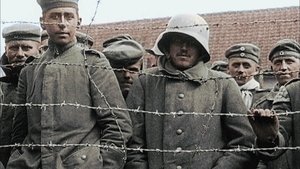Apokalypsa: 1. světová válka Vysvobození