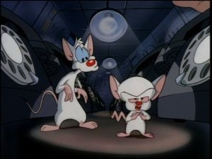 Animáci 147. epizoda