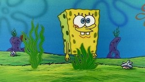 SpongeBob v kalhotách Návrat k přírodě