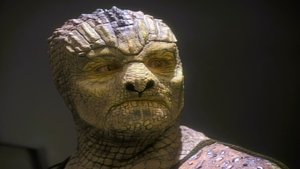 Star Trek: Hluboký Vesmír Devět Stíhání oběti