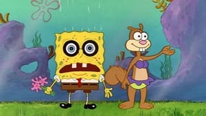 SpongeBob v kalhotách Čaj s veverkou