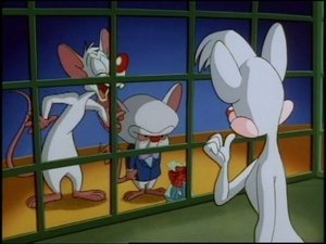 Animáci 114. epizoda
