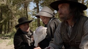 Hell on Wheels Under Color of Law