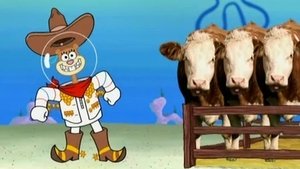 SpongeBob v kalhotách Zachraňme Sandy