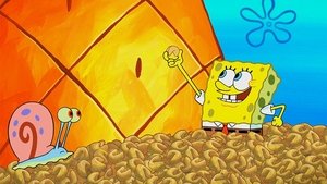 SpongeBob v kalhotách Koláčky štěstí