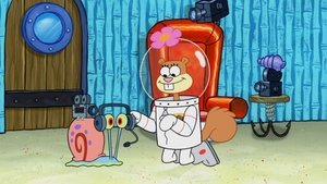 SpongeBob v kalhotách Experiment pozorování chování