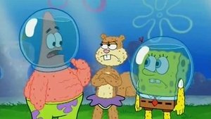 SpongeBob v kalhotách Blecha v kožichu