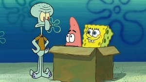 SpongeBob v kalhotách Krabice pro hlupáky