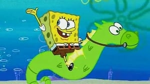SpongeBob v kalhotách Krásný mořský koník