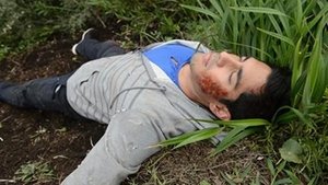 Home and Away 141. epizoda