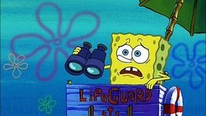 SpongeBob v kalhotách Spongebob plavčíkem