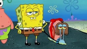 SpongeBob v kalhotách Soutěž mazlíčků