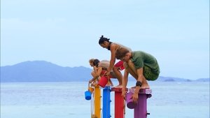 Survivor (USA) Zvláštní symbol
