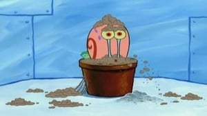 SpongeBob v kalhotách Sépiákova škola pro dospělé