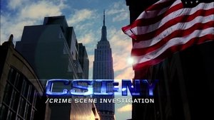 Kriminálka New York 3. epizoda
