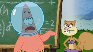 SpongeBob v kalhotách Chytrý Patrik
