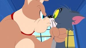 Show Toma a Jerryho Pravidla plavidla