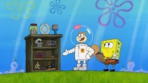 SpongeBob v kalhotách Jak pohlídat dům