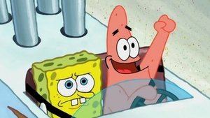 SpongeBob v kalhotách Řízení je pro hlupáky