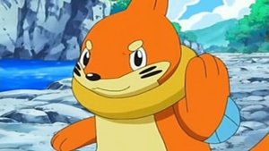 Pokémon Nezahrávejte si s Buizelem