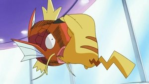 Pokémon Naším cílem je evoluce
