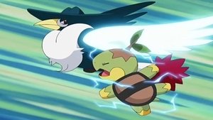 Pokémon Na pomoc nepříteli