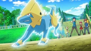 Pokémon Pečování o Furfroua