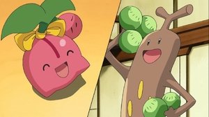 Pokémon Roztomilý zápas