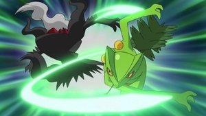 Pokémon Semifinále