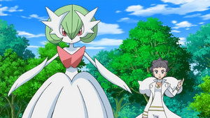 Pokémon Pouta dalšího vývoje