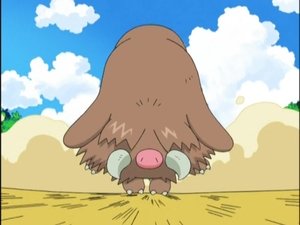 Pokémon Divočina s Piloswinem