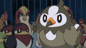 Pokémon Zrodila se Staravia